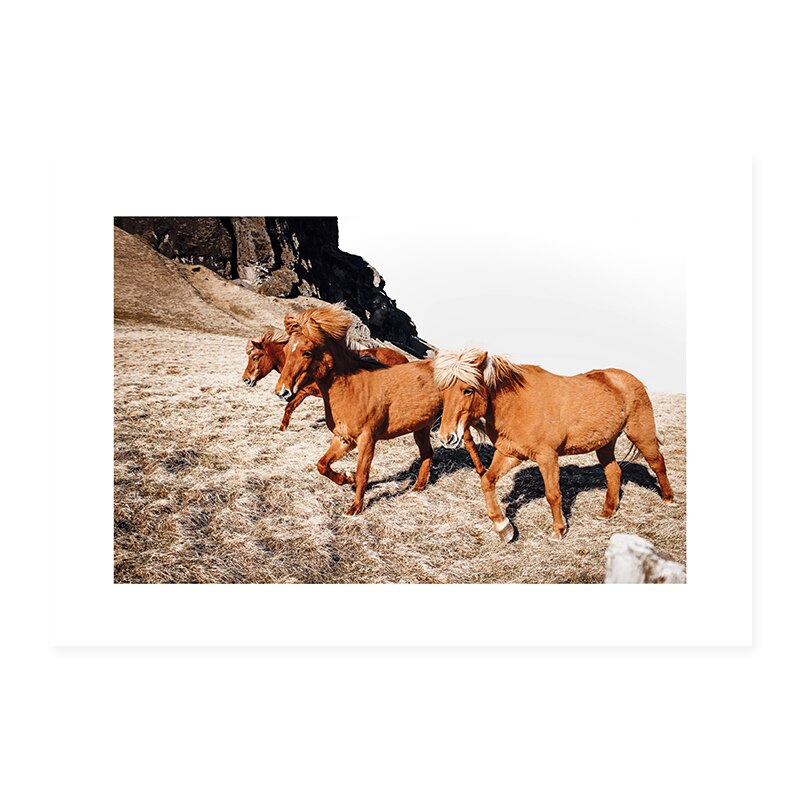 Bohemian Minimal Style Horses Wall Art - Little Eudora