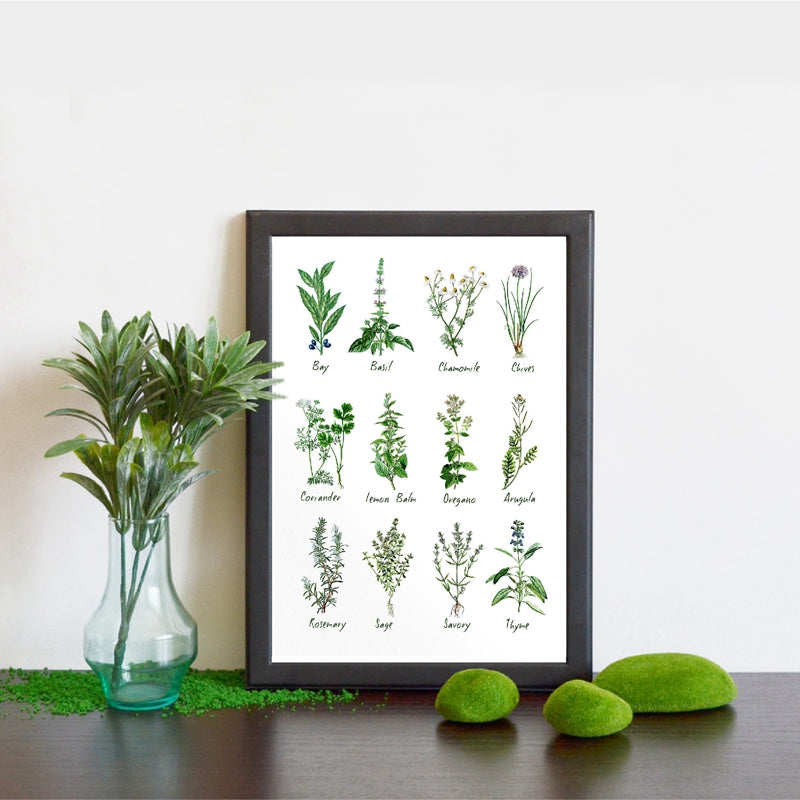 Decor Botanical Chart Wall Art - Little Eudora