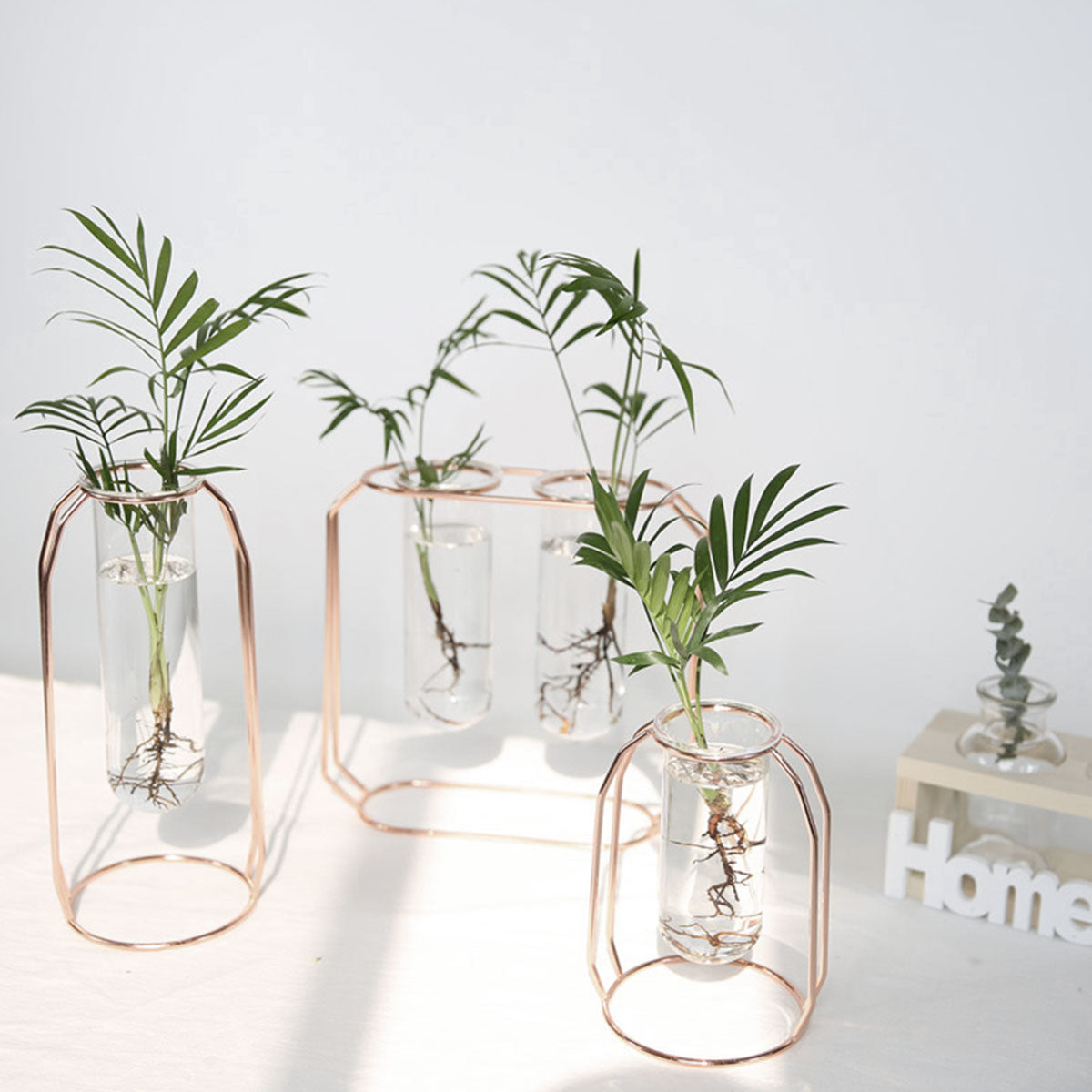 Nordic Golden Glass Vase Iron Hydroponic Plant Flower Vase Tabletop Coffee Shop Office Home Decoration Accessories Modern