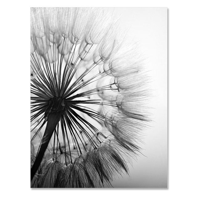 Dandelion Flower Wall Art - Little Eudora