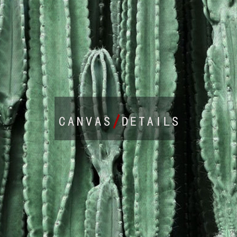 Scandinavian Green Leaves and Cactus Wall Art - Little Eudora