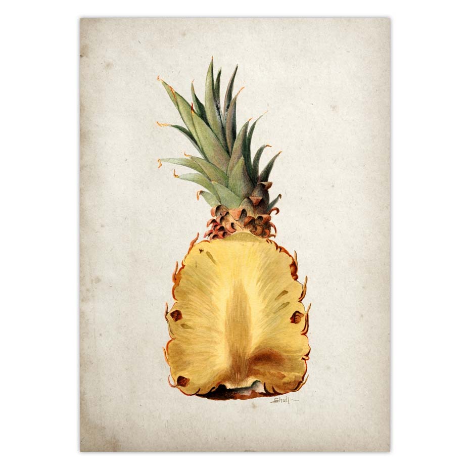 Fruit Kitchen Poster Vintage Wall Art - Little Eudora