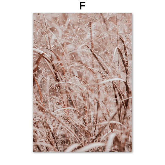 Pink Reed Grass Flower Plant Wall Art - Little Eudora