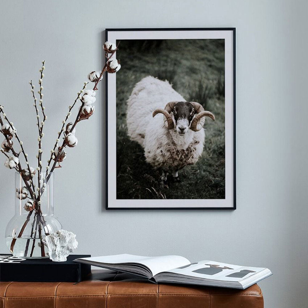 Animal Antelope Wall Art - Little Eudora