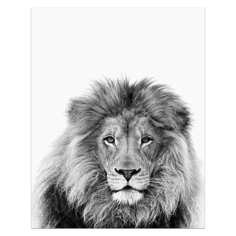 Animals Print Lion Zebra Elephant Wall Art - Little Eudora