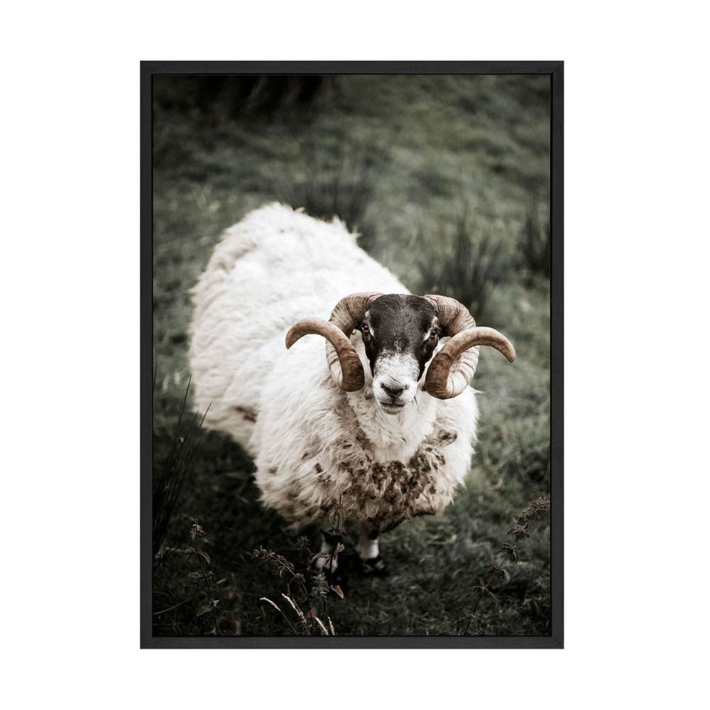 Animal Antelope Wall Art - Little Eudora