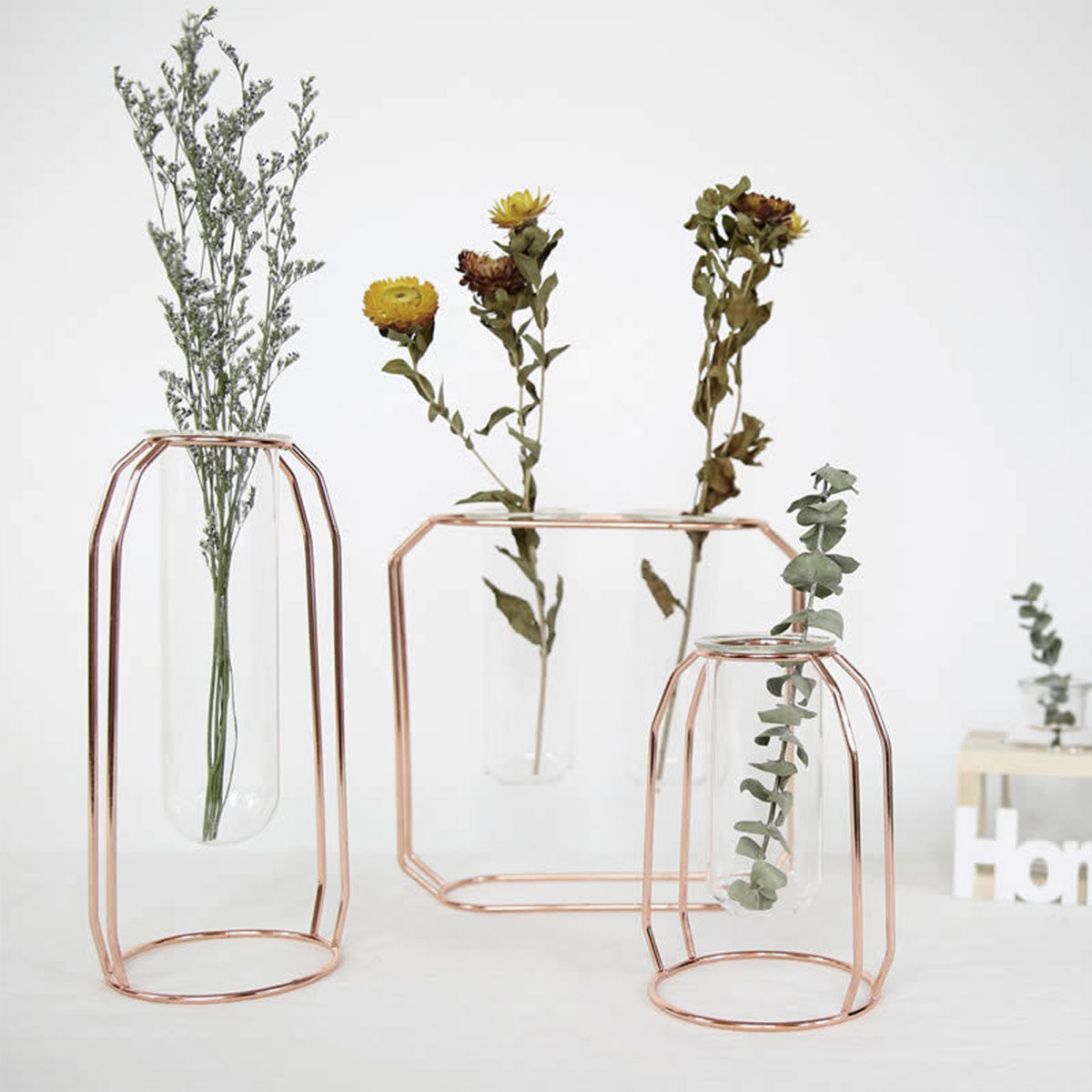 Nordic Golden Glass Vase Iron Hydroponic Plant Flower Vase Tabletop Coffee Shop Office Home Decoration Accessories Modern