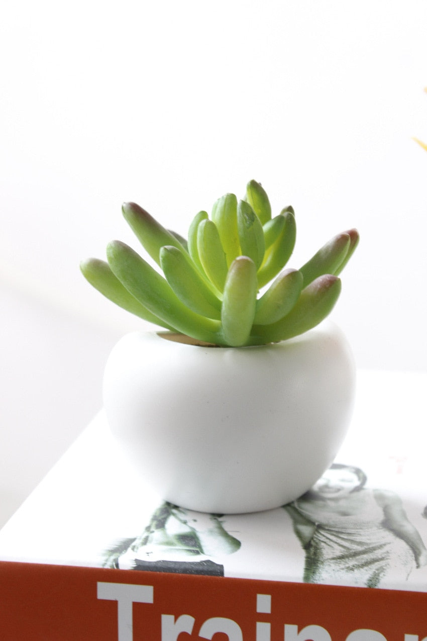 Fridge Magnets Potted Artificial Green succulent plants Bonsai set fake Flower vase Souvenir Blackboard Magnetic Stickers