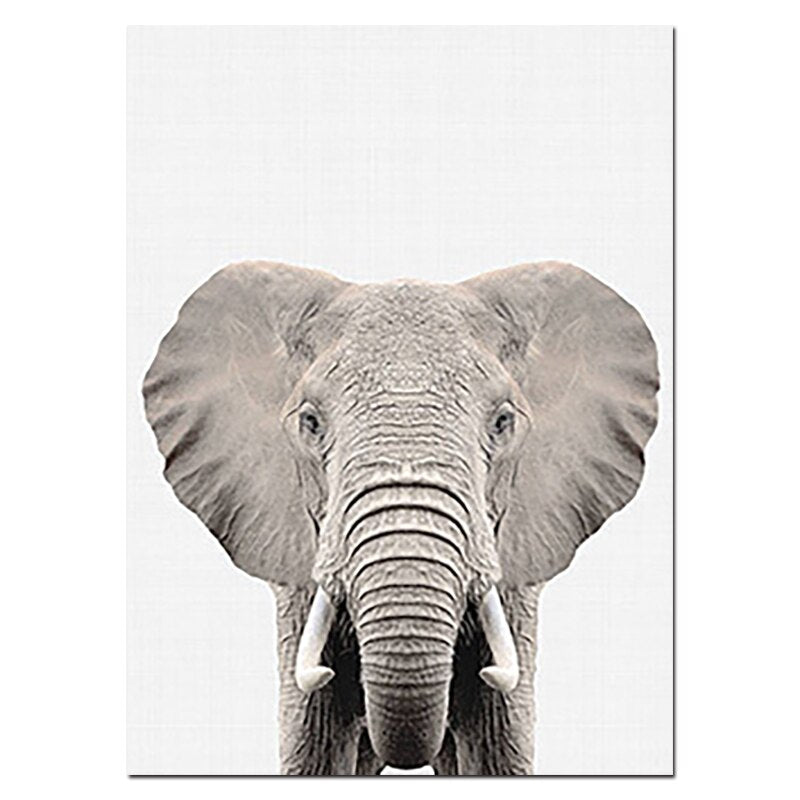 Nursery Animal Prints Cute Baby Animals - Little Eudora