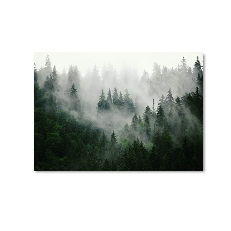 Mountain Foggy Forest Picture Nature Scenery Wall Art