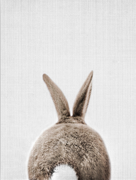 Rabbit Tail Bunny Wall Art - Little Eudora