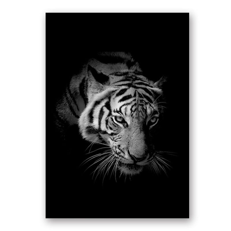 Wildlife Africa Wild Animals Black White Wall Art - Little Eudora