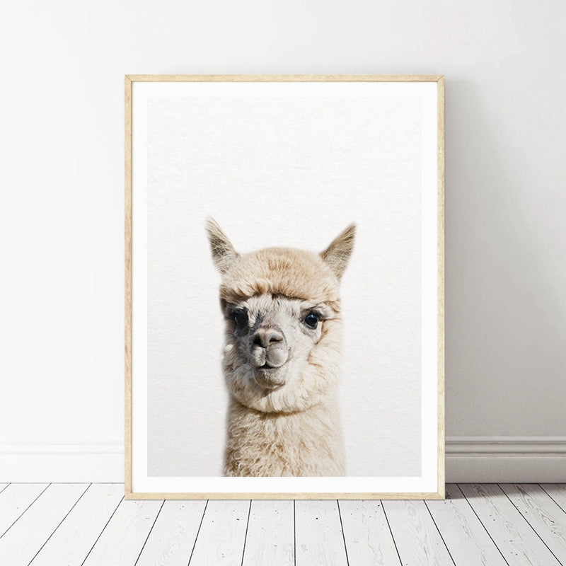 Alpaca Wall Art - Little Eudora