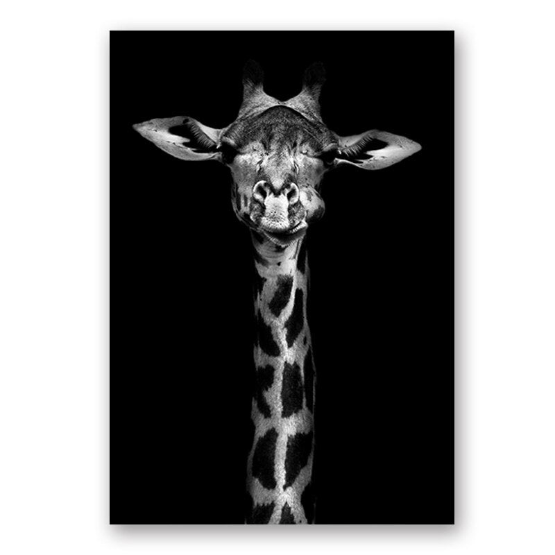 Wildlife Africa Wild Animals Black White Wall Art - Little Eudora