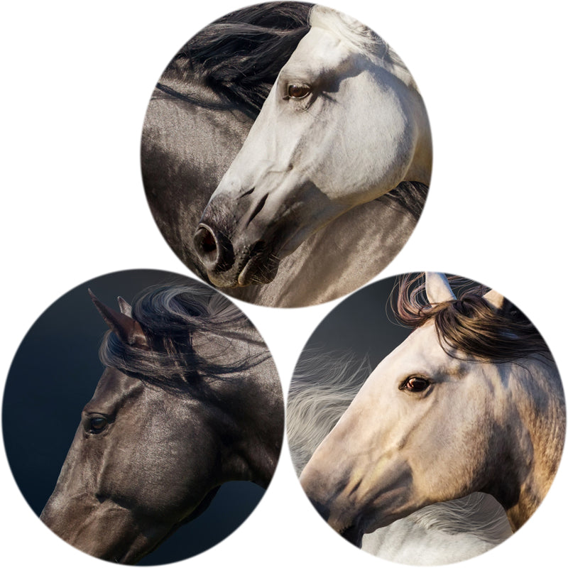 Three Running Horses Wall Art - Little Eudora