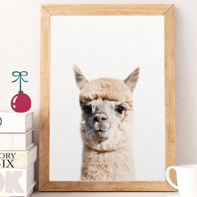 Alpaca Wall Art - Little Eudora