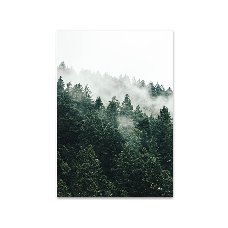 Mountain Foggy Forest Picture Nature Scenery Wall Art