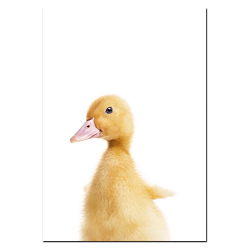 Nursery Animal Prints Cute Baby Animals - Little Eudora