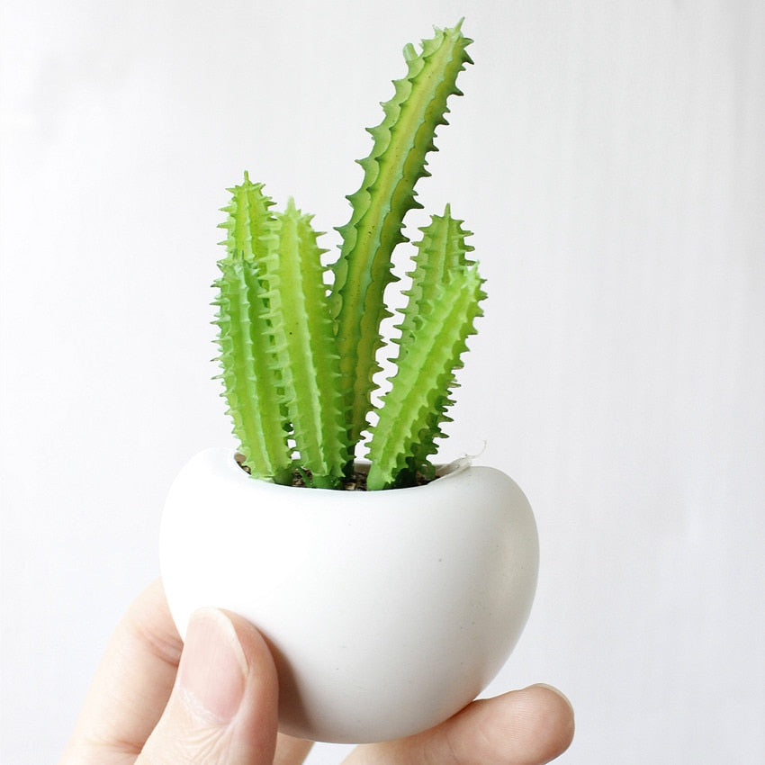 Fridge Magnets Potted Artificial Green succulent plants Bonsai set fake Flower vase Souvenir Blackboard Magnetic Stickers