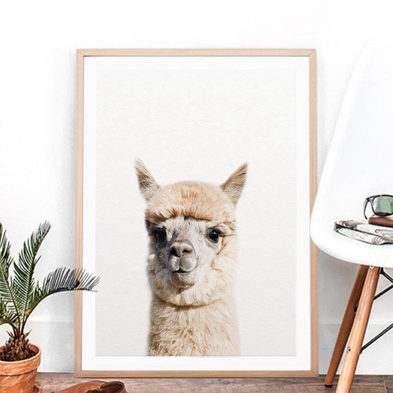 Alpaca Wall Art - Little Eudora
