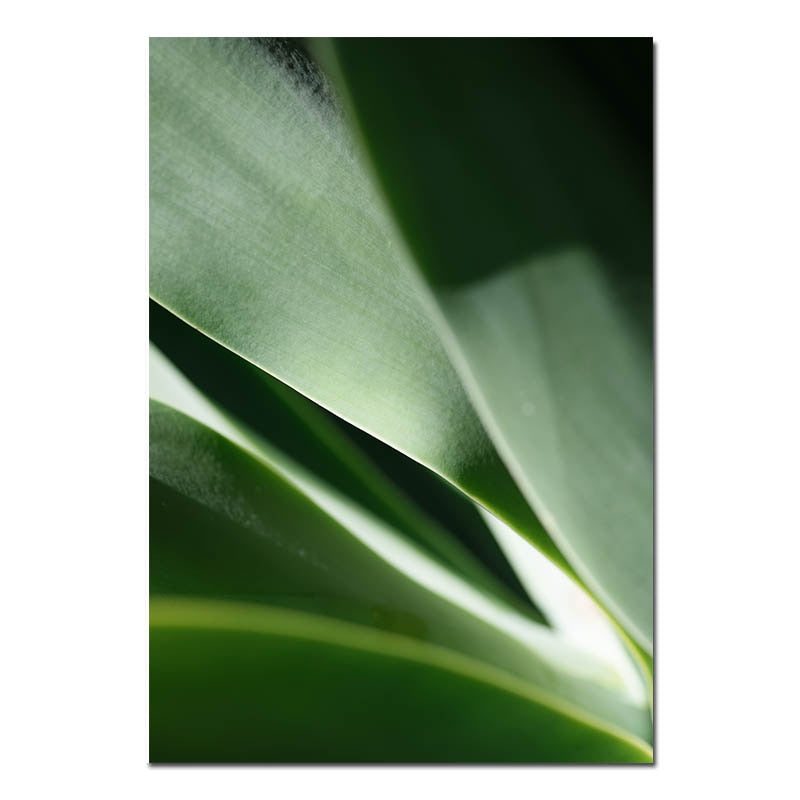 Scandinavian Natural Scenery Poster Nordic Print Forest Wall Art
