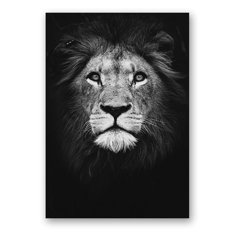Wildlife Africa Wild Animals Black White Wall Art - Little Eudora