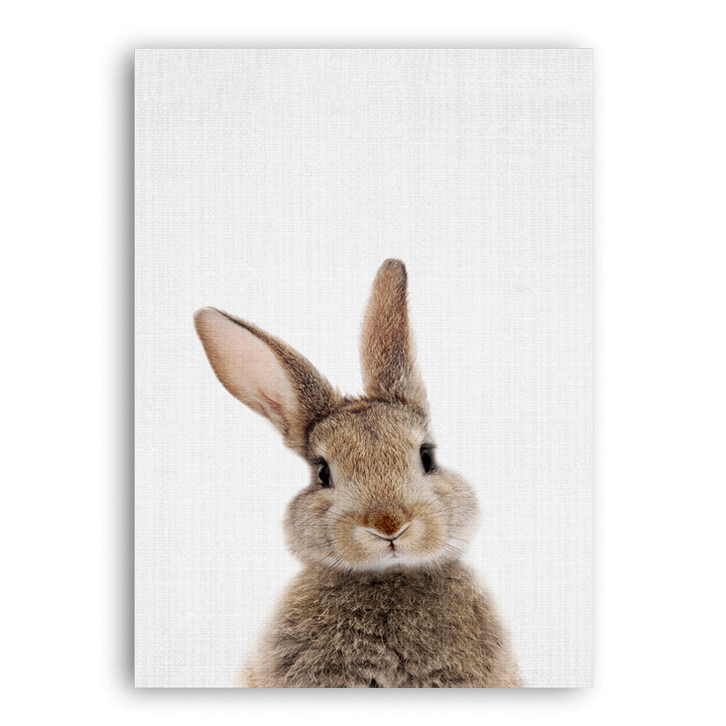 Rabbit Tail Bunny Wall Art - Little Eudora