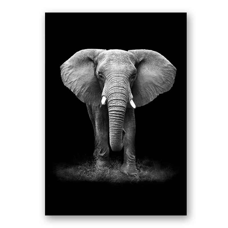 Wildlife Africa Wild Animals Black White Wall Art - Little Eudora