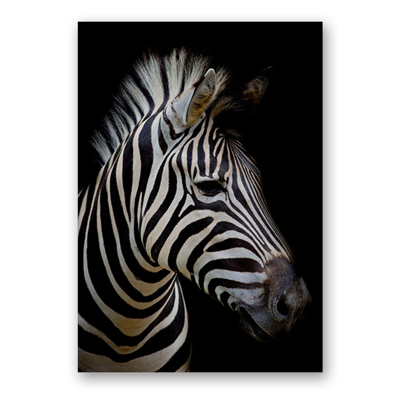 Wildlife Africa Wild Animals Black White Wall Art - Little Eudora