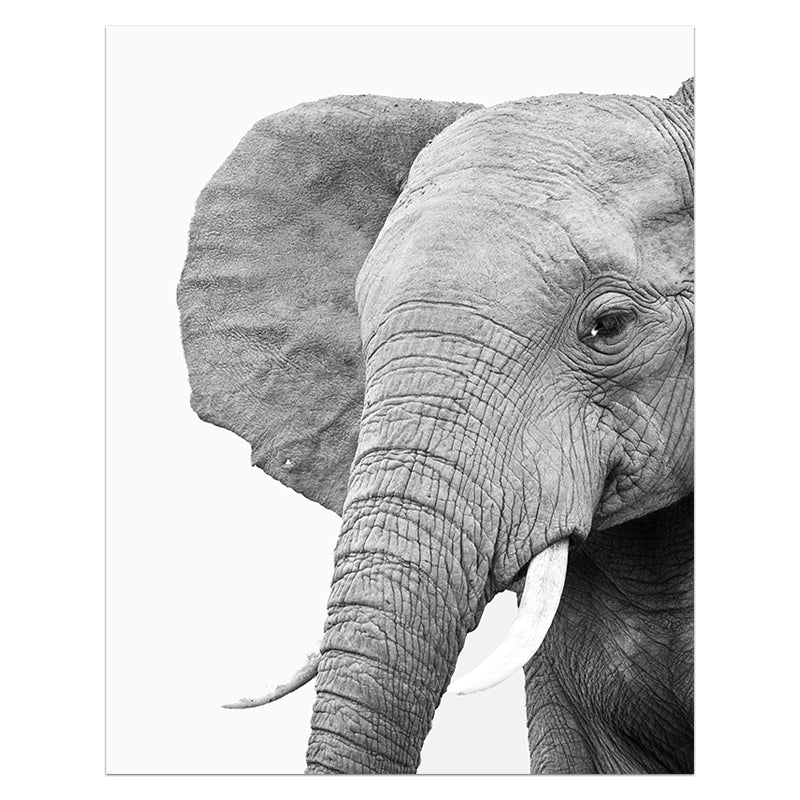 Animals Print Lion Zebra Elephant Wall Art - Little Eudora