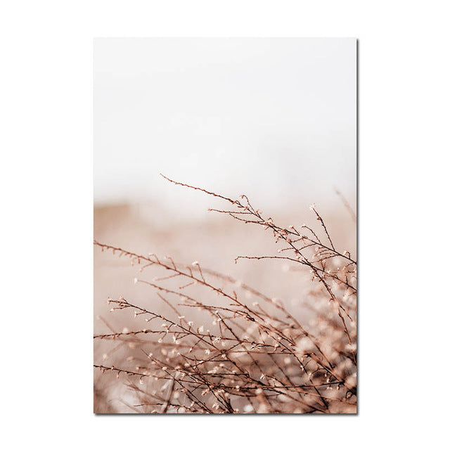 Grass Nature Scenery Picture Flower Plant - Little Eudora