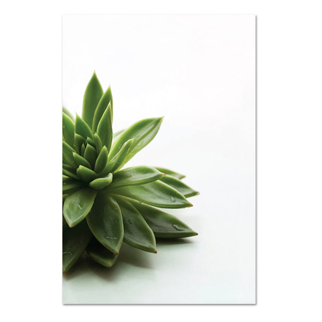 Nordic Simple Green Plants And Succulent - Little Eudora