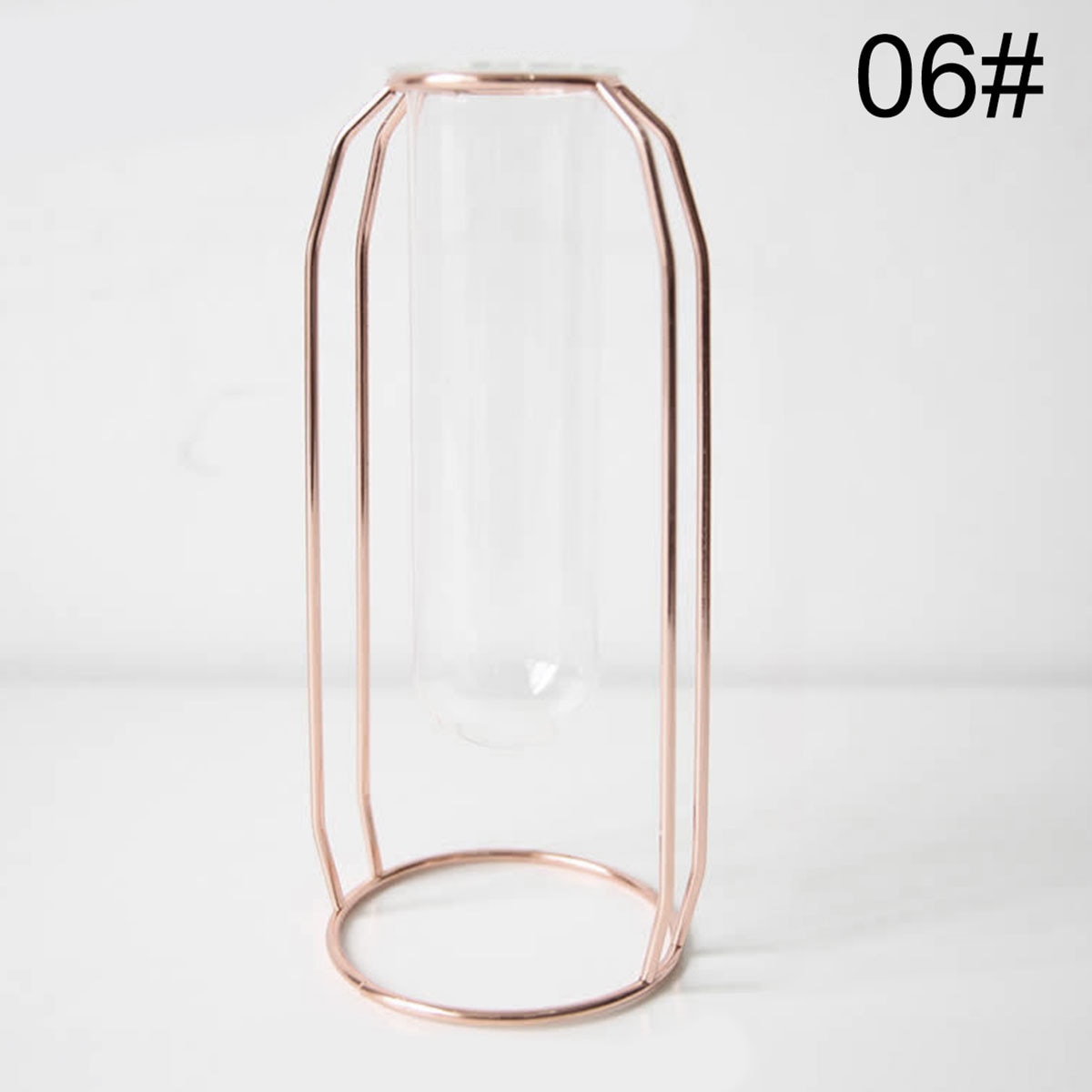 Nordic Golden Glass Vase Iron Hydroponic Plant Flower Vase Tabletop Coffee Shop Office Home Decoration Accessories Modern