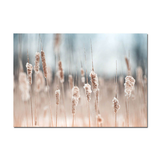 Grass Nature Scenery Picture Flower Plant - Little Eudora