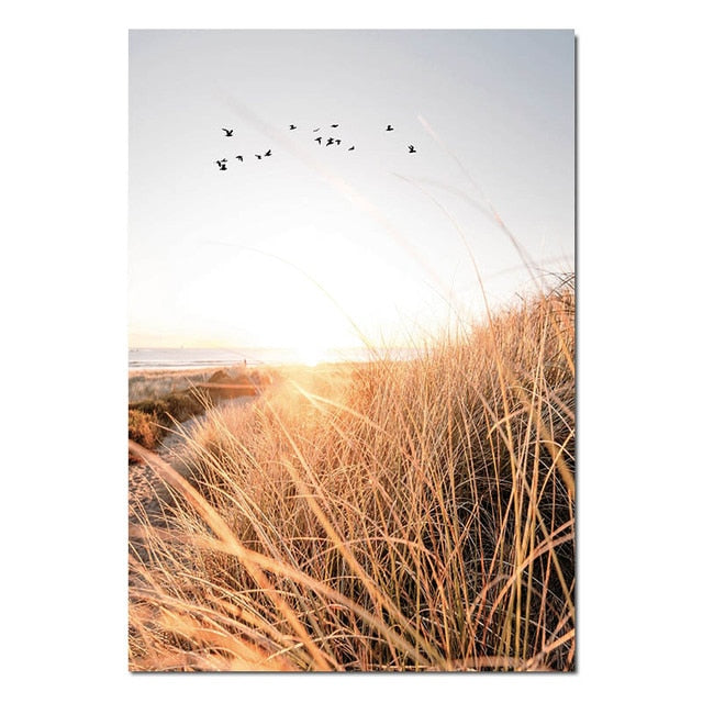 Grass Field Sunset Wall Art