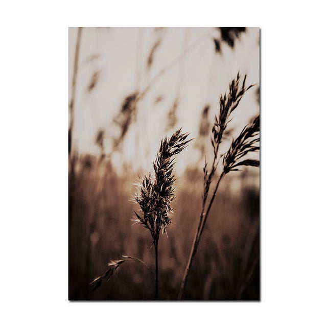 Grass Nature Scenery Picture Flower Plant - Little Eudora