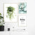 Nordic Simple Green Plants And Succulent - Little Eudora