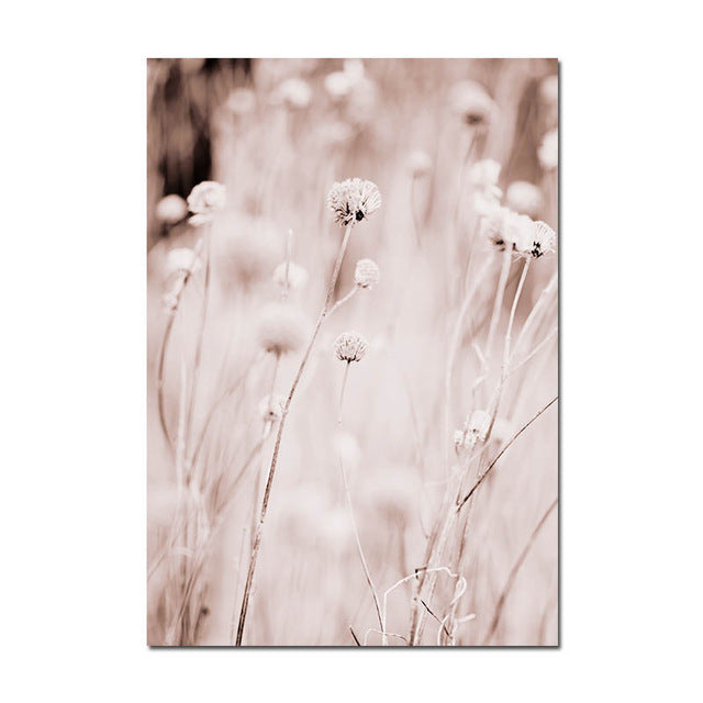 Grass Nature Scenery Picture Flower Plant - Little Eudora