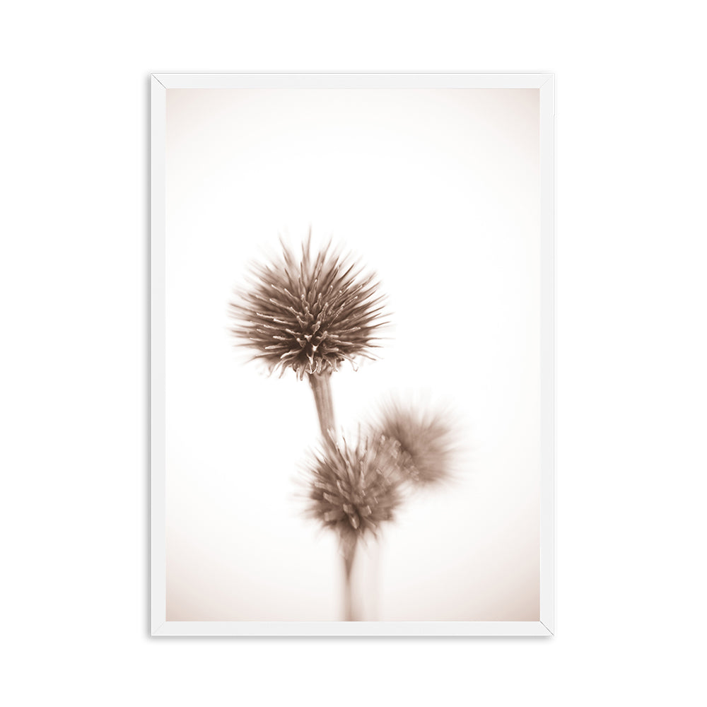 Wheat Plant Farm Quotes Wall Art - Little Eudora