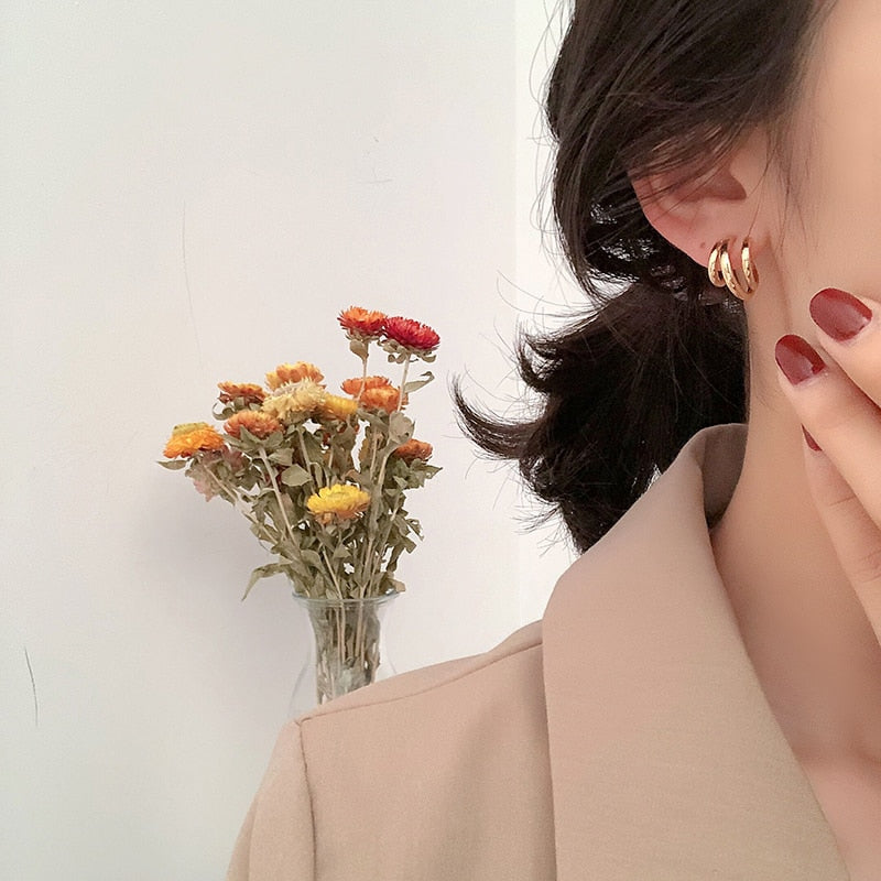 2020 Ins Hot Sale Metal Hoops Women's Earrings Retro Simple Compact Style Gold Silver Color Korean Fashion Women Jewelry