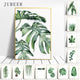 Tropical Plants Poster Green Leaves