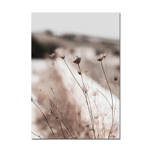 Grass Nature Scenery Picture Flower Plant - Little Eudora
