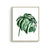 Tropical Plant Leaves Wall Art - Little Eudora