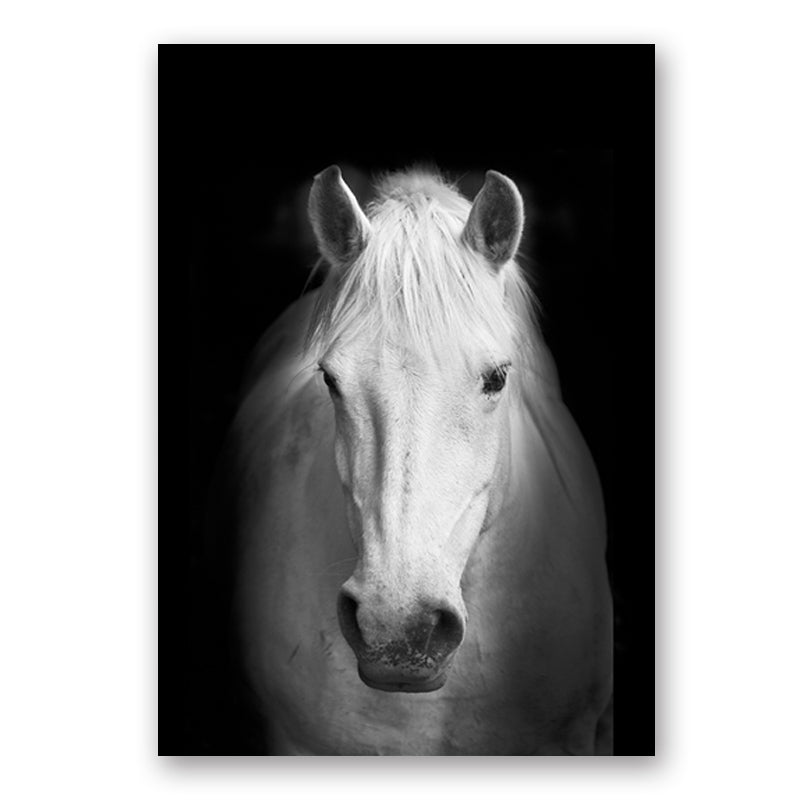 Wildlife Africa Wild Animals Black White Wall Art - Little Eudora