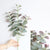 Artificial Leaves Branch Retro Green Silk Eucalyptus Leaf for Home Decor Wedding Plants Faux Fabric Foliage Room Decoration 68CM