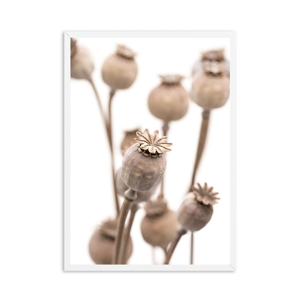 Wheat Plant Farm Quotes Wall Art - Little Eudora