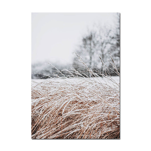 Grass Nature Scenery Picture Flower Plant - Little Eudora