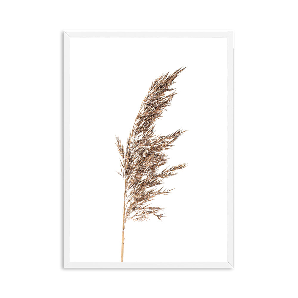 Wheat Plant Farm Quotes Wall Art - Little Eudora