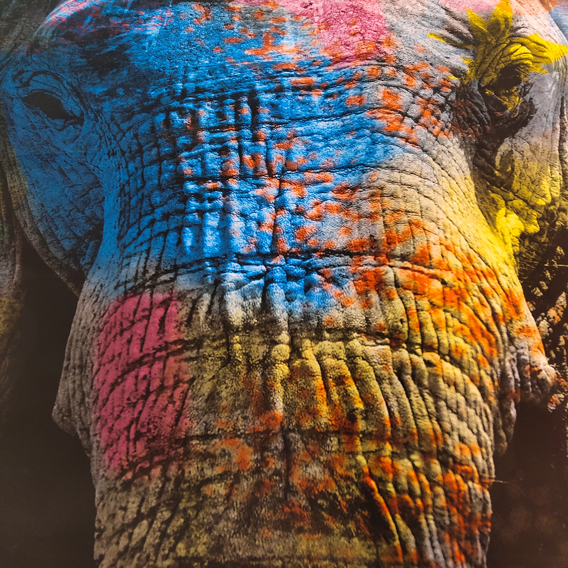 Colorful Elephant Wall Art - Little Eudora