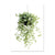 Nordic Simple Green Plants And Succulent - Little Eudora